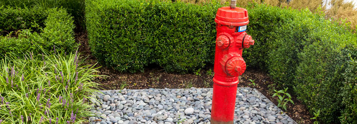 Red fire hydrant