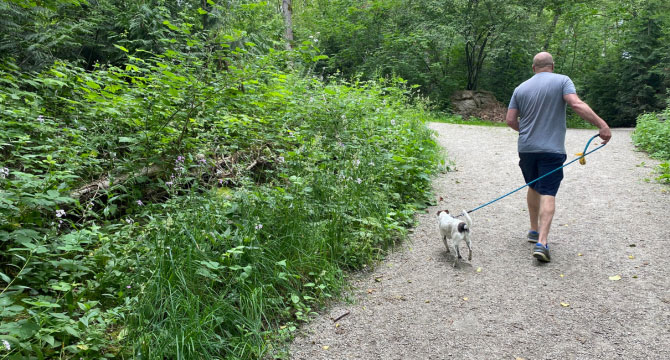 Man walking his dog through a park path