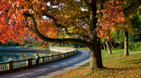 Stanley Park and seawall in fall