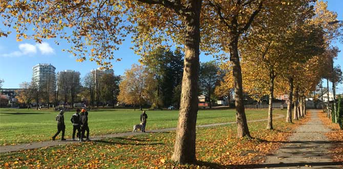 People walking through park with trees with fallen leaves