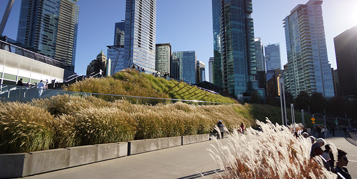 Green roof on the Vancouver Convention Centre