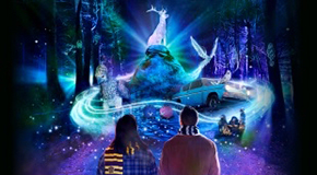 Harry Potter™: A Forbidden Forest Experience poster, two people looking at magical Harry Potter themed items