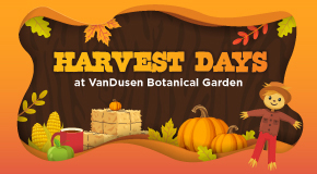 Harvest Days banner 