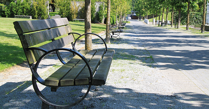 Benches along Hastings Park