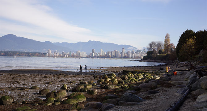 Low tide at the beach, and a few people walking around the rocky shore