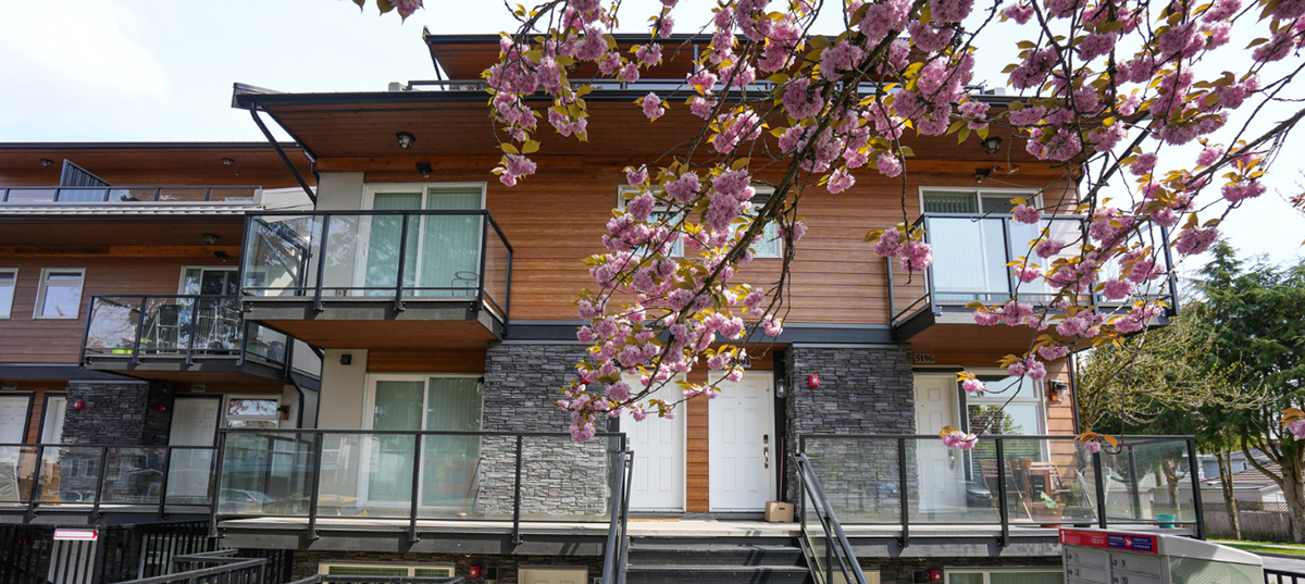 A house with a cherry blossom tree in front of it 
