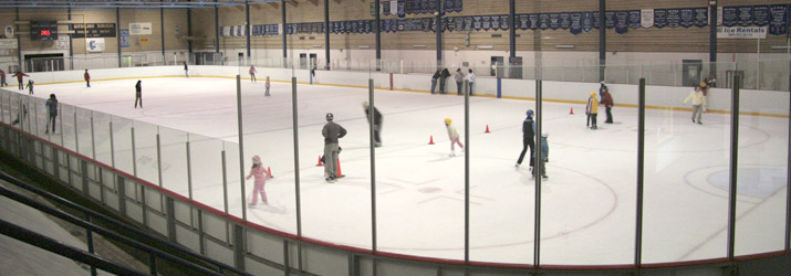 Ice store skating rink