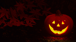 Jack-o'-lantern pumpkin in fall leaves 