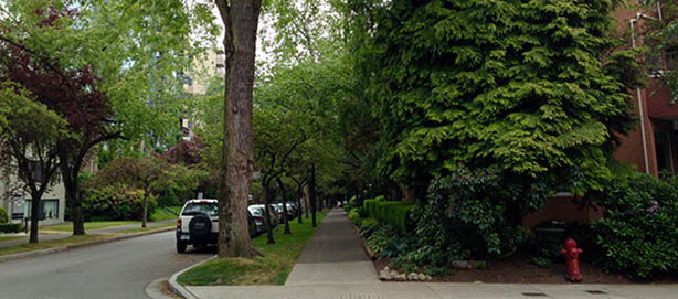 Jeep and other cars parked on street