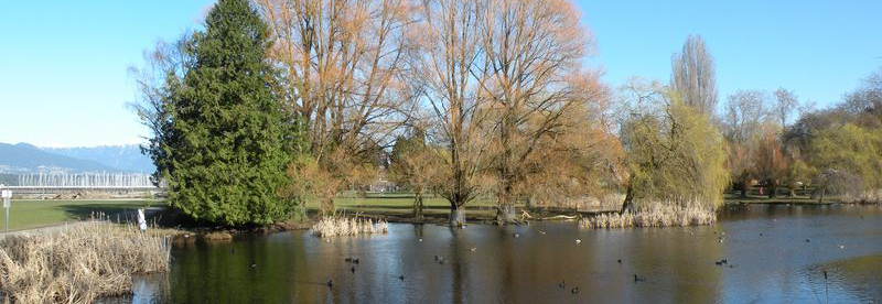 Jericho Beach Park Vancouver