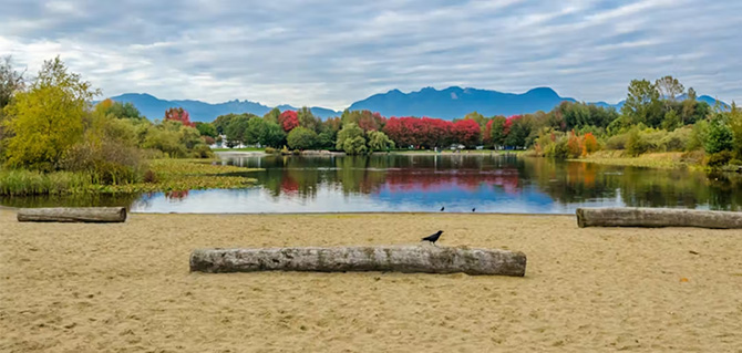 A sandy beach with logs at Trout Lake