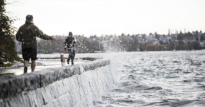 Two people walk the Second Beach seawall with a small dog during king tides