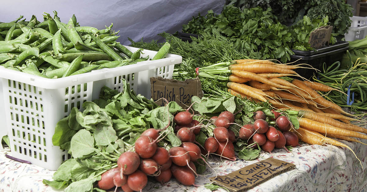 Federal Grants Programs for Shared Use Commercial Kitchens Supporting Local  Food Systems - The Food Corridor