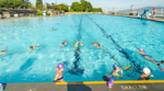 Lap swimmers at Vancouver's Kits pool 