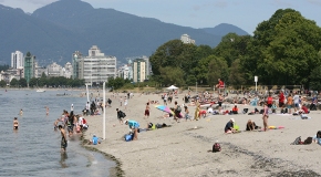 are dogs allowed at kits beach