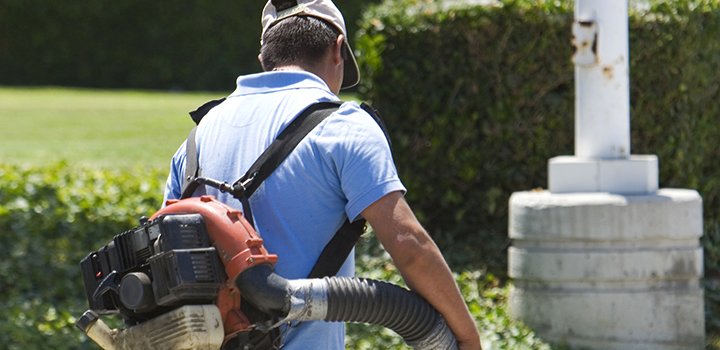 Leaf blower