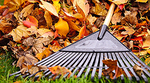 Rake and leaves Rake and leaves
