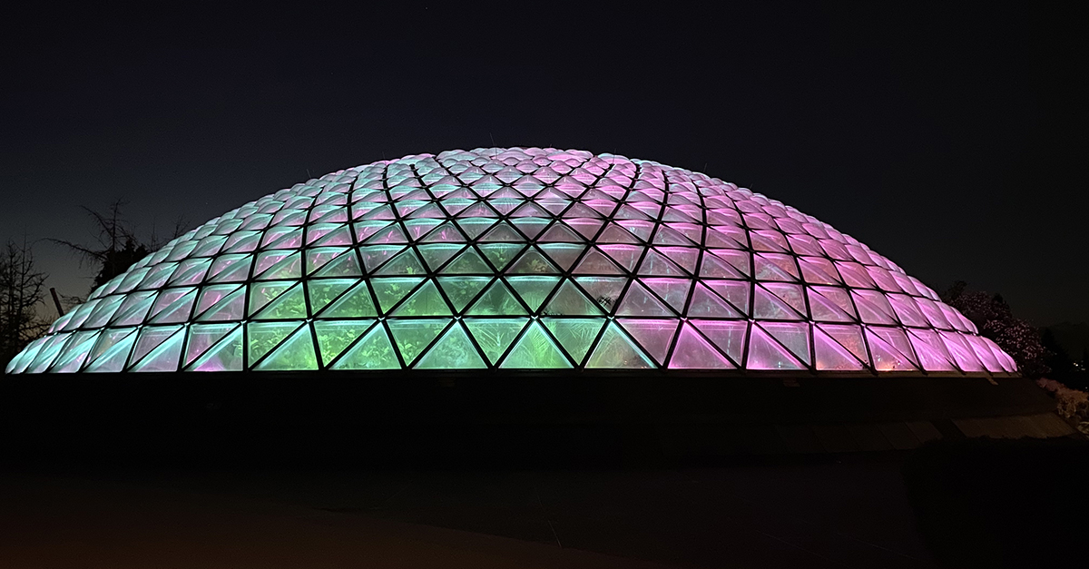 Illuminate Bloedel Conservatory City of Vancouver