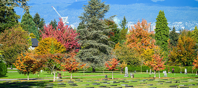 Autumn trees in Mountain View Cemetery with gravestones and a cityscape in the background.