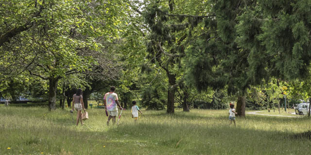 People in a park meadow with trees around them