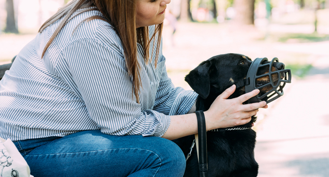 Person with muzzled dog