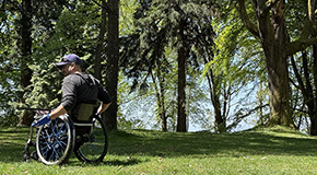 Person sitting in a wheelchair on the grass with their back turned to us