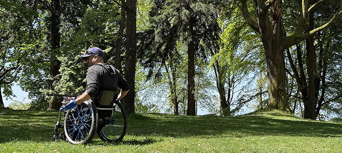 Person sitting in a wheelchair on the grass with their back turned to us
