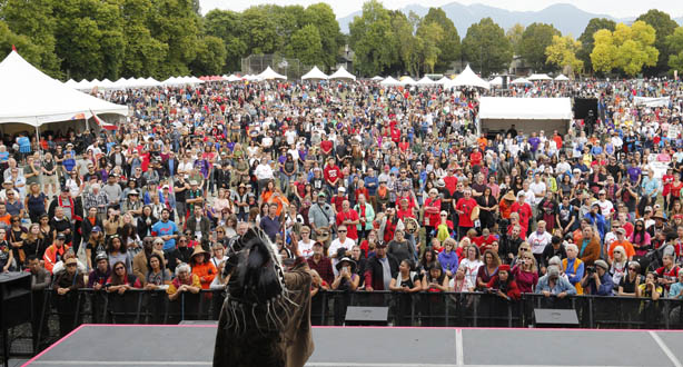 Person on stage in front of an audience in a park