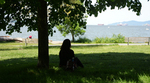 Person under a tree for shade with the ocean in the background