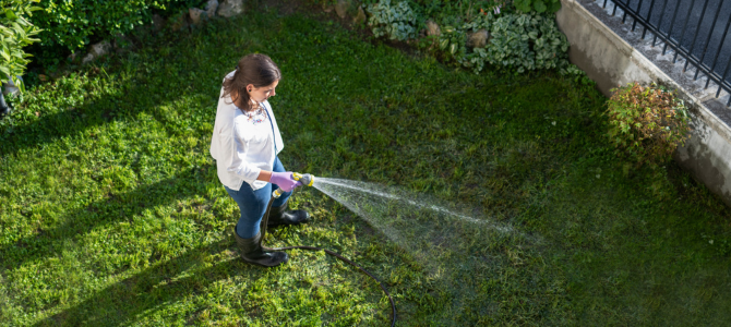 Person watering lawn with hose Person watering lawn with hose