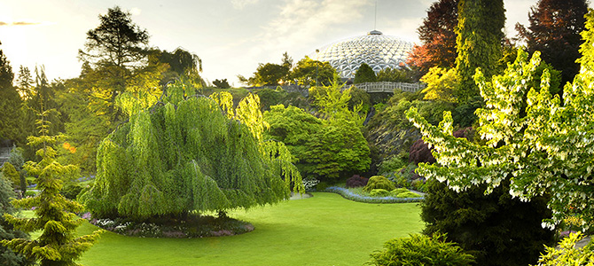 Queen Elizabeth Park