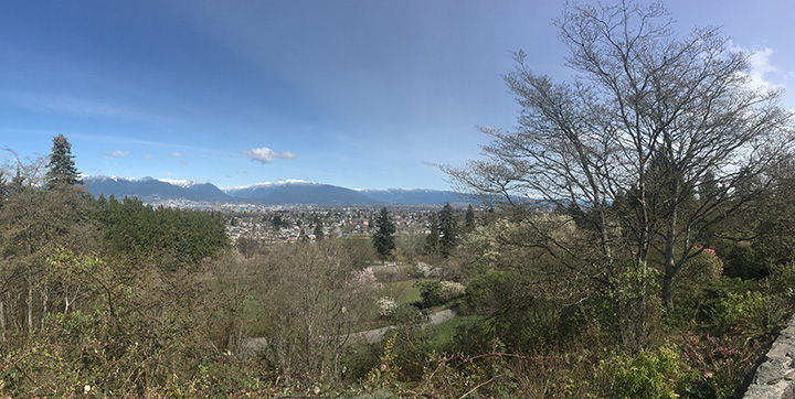 View from Queen Elizabeth Park 