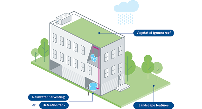 	Infographic of a house showing vegetated green roof, rainwater harvesting or detention tank, landscape feature