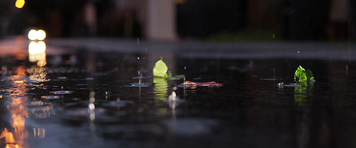 Rainwater in a puddle