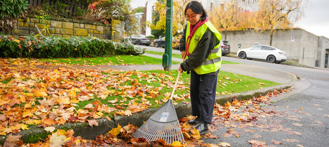 Person raking leaves away from a catch basin