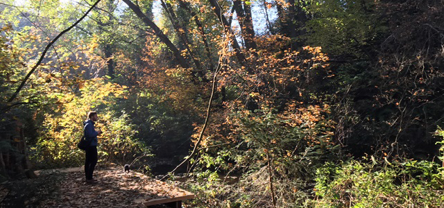 Person standing on a trail at Renfrew Ravine Person standing on a trail at Renfrew Ravine