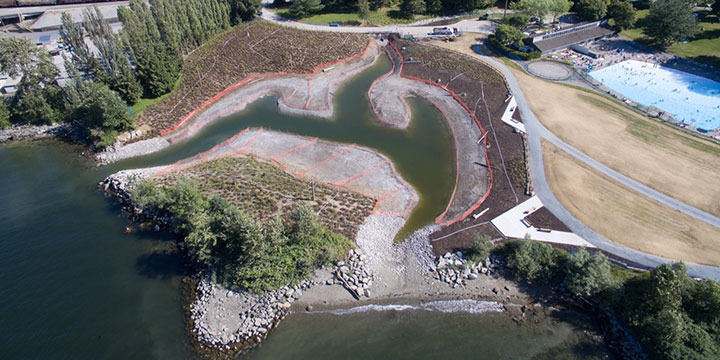 Restoration of a waterfront park by Vancouver Park Board