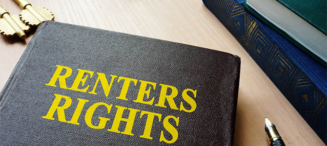 Photo of a hardcover book with title: Renters Rights Photo of a hardcover book with title: Renters Rights
