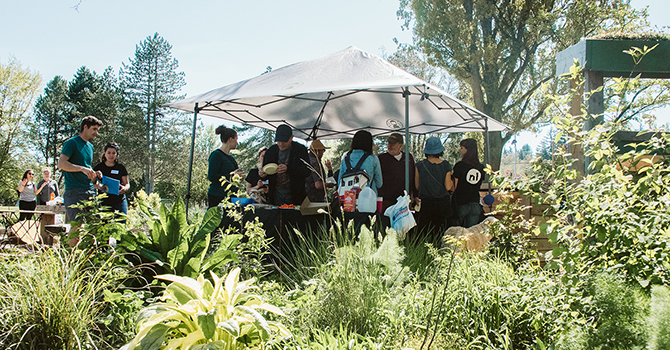 People under a tent at Riley Park