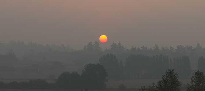 Smoky sky with sun peeking through and trees in the foreground