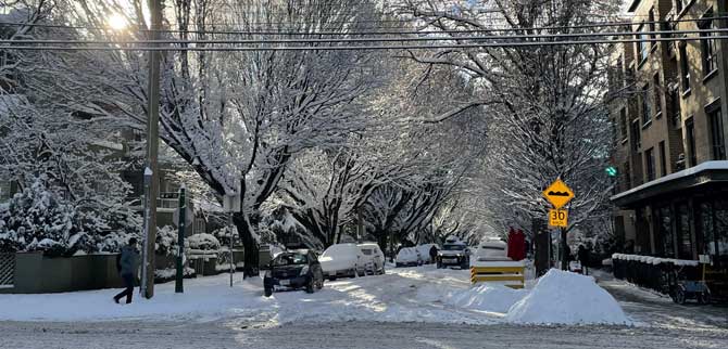 Streets, trees, and building covered with snow