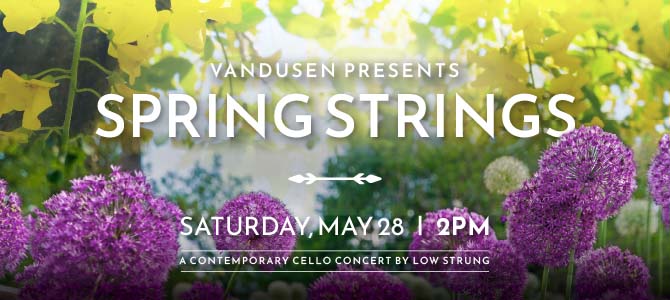 Spring Strings at VanDusen poster