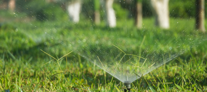 Sprinkler watering the lawn