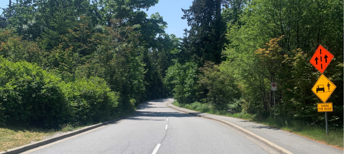 The road and bike lane going through Stanley Park