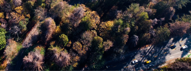 Aerial view of Stanley Park causeway