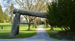 Lumberman's Arch monument in Stanley Park