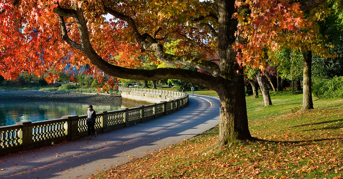 Vancouver Board of Parks and Recreation | City of Vancouver