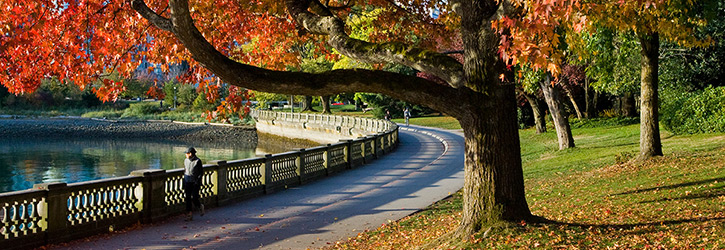 Stanley Park Seawall in autumn