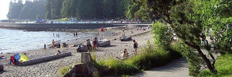 Stanley Park At Night