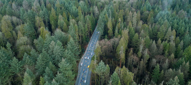 Aerial view of the causeway in Stanley Park